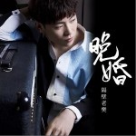 晚婚（单曲）详情