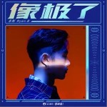像极了（单曲）详情