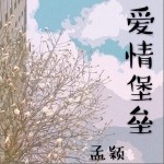 爱情堡垒（单曲）详情