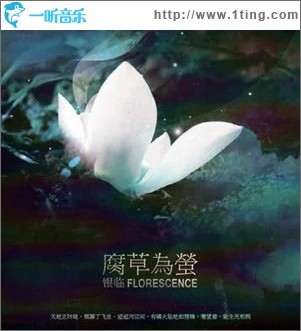 锦鲤抄（单曲）
