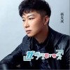我瞒了所有人爱了你很久（单曲）