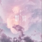默契（单曲）详情