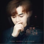 原来你只是一个过客（单曲）详情