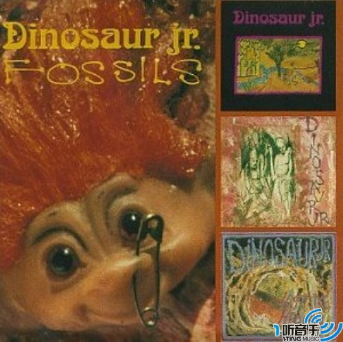 Fossils