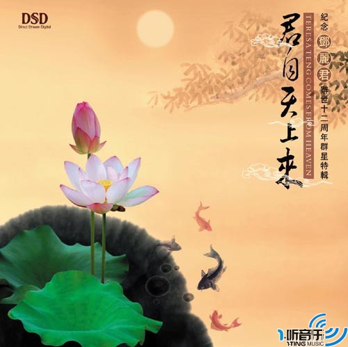 君自天上来 (纪念邓丽君辞世十二周年群星特辑)