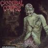 Cannibal Corpse Devoured by vermin 试听