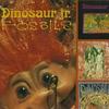 Fossils
