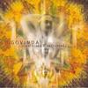 Govinda The Celestine Theme 试听