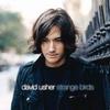 David Usher Happy Endings 试听