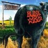 Dude Ranch