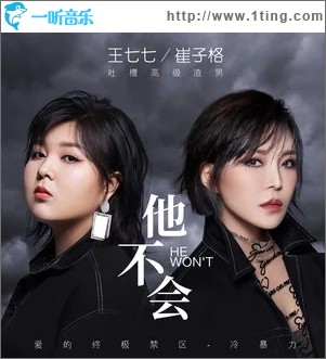 他不会（单曲）