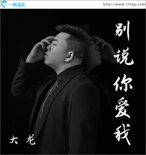 别说你爱我（单曲）