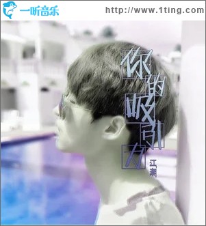 你的吸引力（单曲）