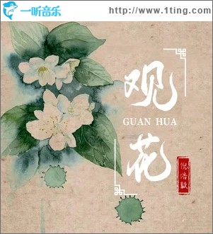 观花（单曲）