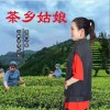 叶梅 茶乡姑娘 试听