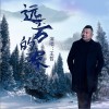 王哲 远方的家 试听