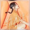 当我遇见我（单曲）