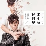 来不及说再见（单曲）