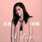 天若有情（单曲）