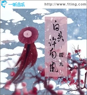 白头许南风（单曲）