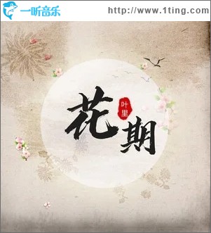 花期（单曲）