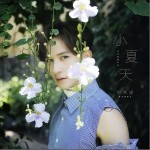 小夏天（单曲）详情