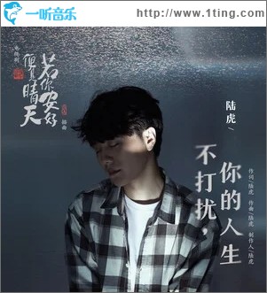 不打扰，你的人生（单曲）