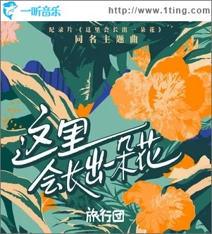 这里会长出一朵花（单曲）