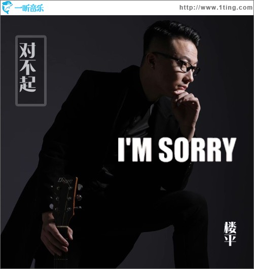 对不起（单曲）