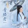 HITA 青梅老 试听