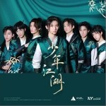 少年美（单曲）