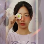 She（单曲）详情