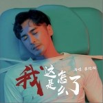 我这是怎么了（单曲）详情