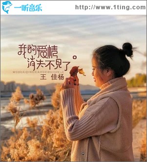 我的爱情消失不见了（单曲）