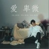 爱卑微（单曲）