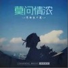 莫问情浓（单曲）