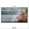 冰块先生Ice Nova 未懂天长地久 试听