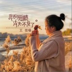 我的爱情消失不见了（单曲）详情