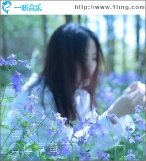 野百合也有春天（单曲）