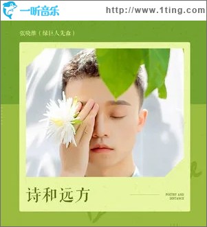 诗和远方（单曲）