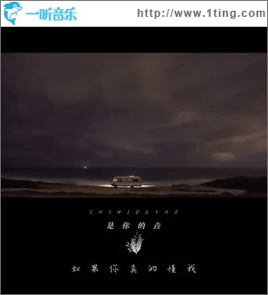 如果你真的能懂我（单曲）