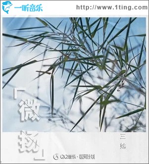 微扬（单曲）