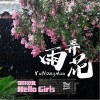 雨弄花（单曲）