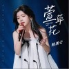 萱草花（单曲）
