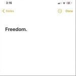 Freedom（单曲）详情