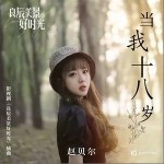 当我十八岁（单曲）详情