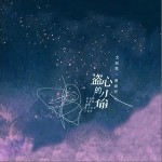 盗心的小偷（单曲）详情