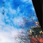 四月（单曲）详情