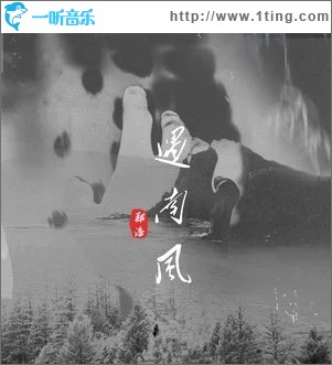 遇南风（单曲）