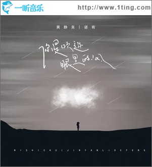 你是吹进眼里的风（单曲）